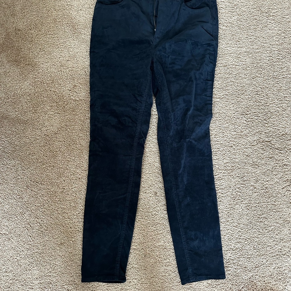 Velvet Women's Navy Blue LOFT Pants